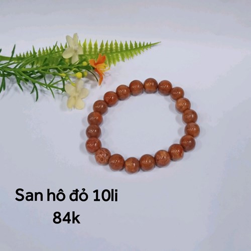 San Hô Đỏ 10li