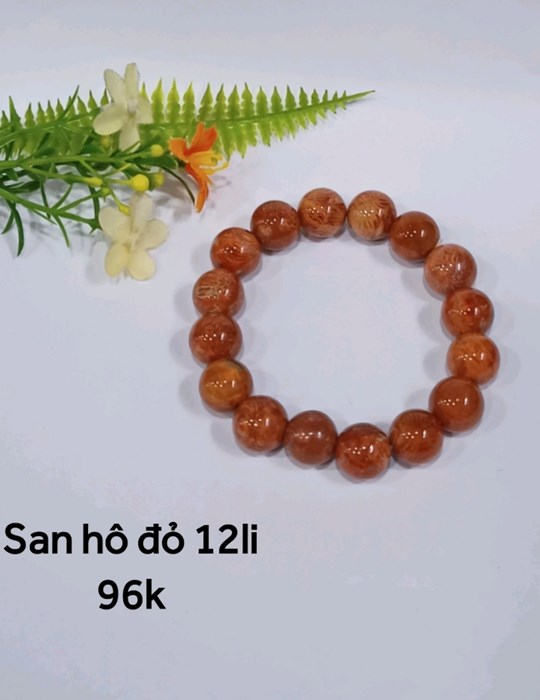 San Hô Đỏ 12li