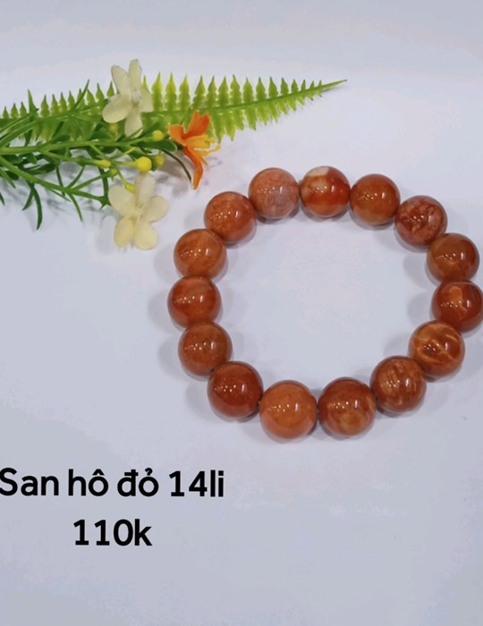 San Hô Đỏ 14li