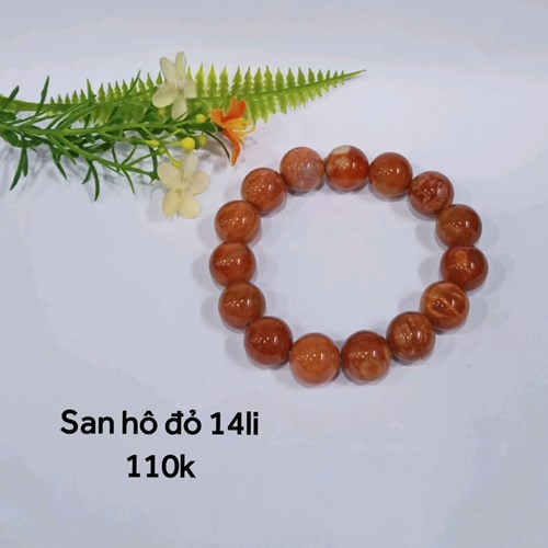 San Hô Đỏ 14li