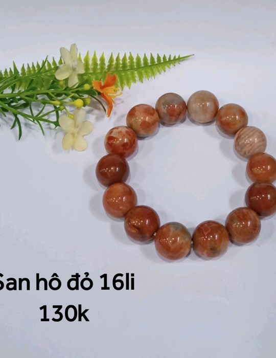 San Hô Đỏ 16li