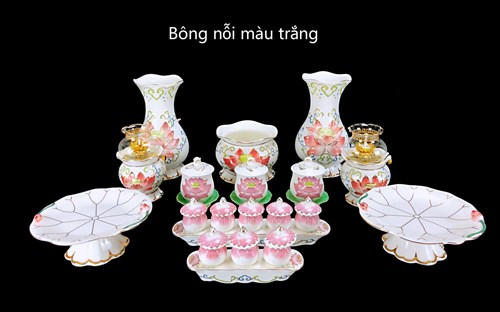Set Mẫu Bông Sen Nổi Trắng