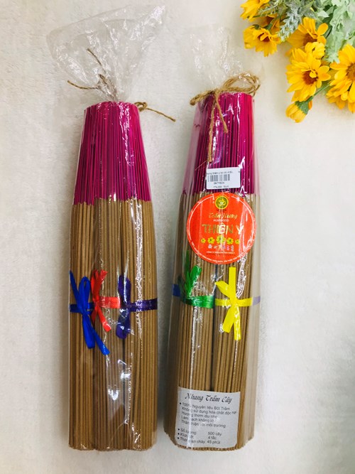 Trầm Thiên Ý Bó Đỏ 4 Tấc