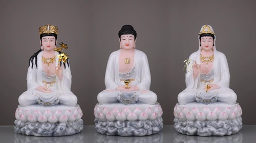 TTP Ngồi xám 2307 12in
