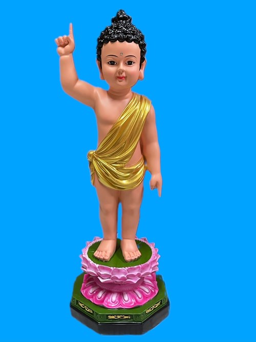 Tượng Đản Sanh 14 - 60cm