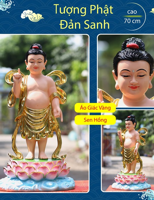 Tượng Đản Sanh sen hồng 70cm