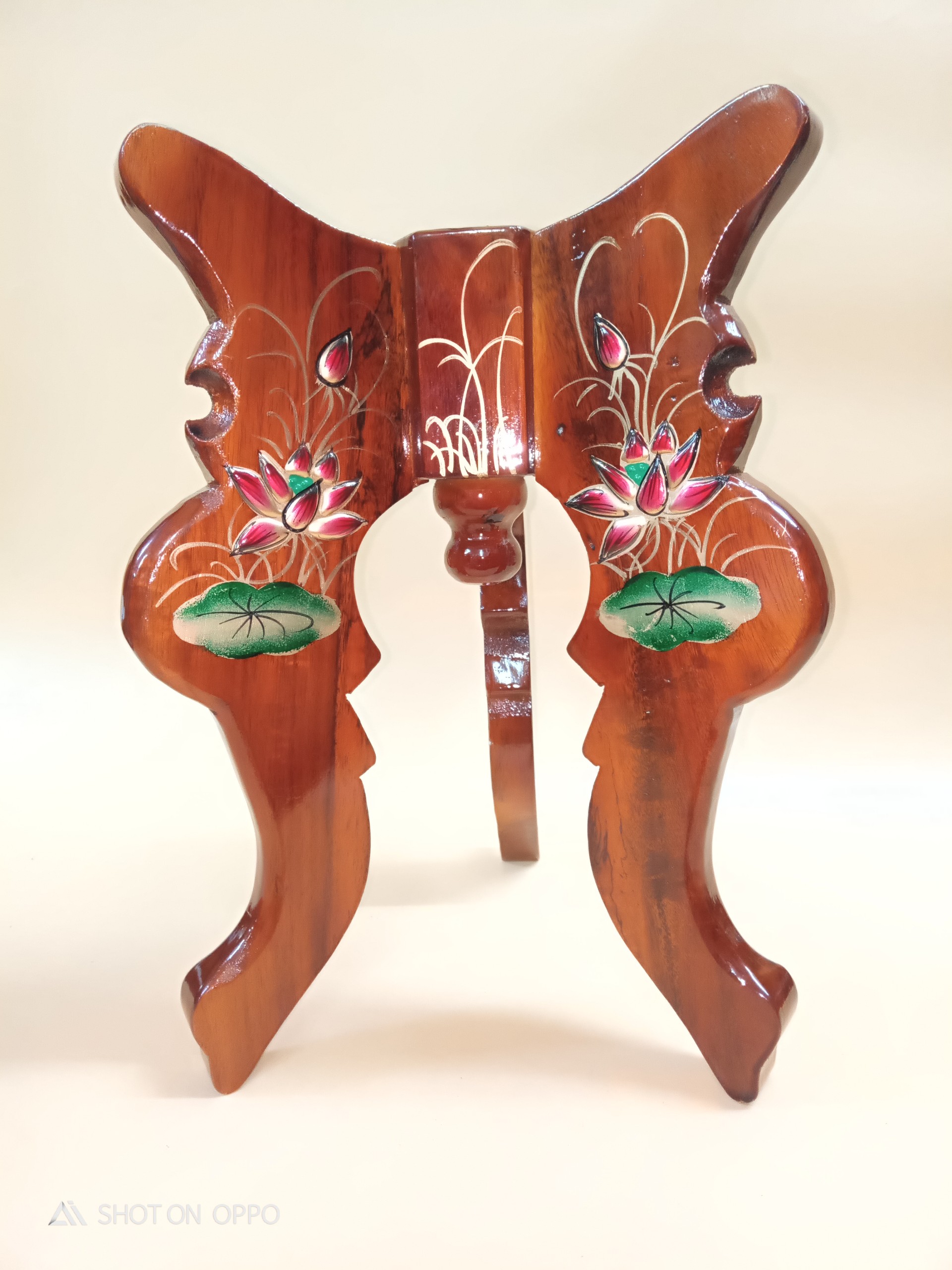 Chò bông nổi 2 tấc